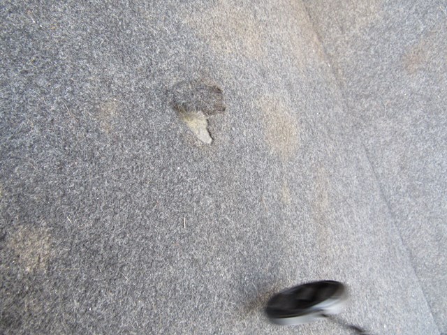 2004 Subaru Forester XT Trunk Cargo Floor Board-See Photos-95411FG000