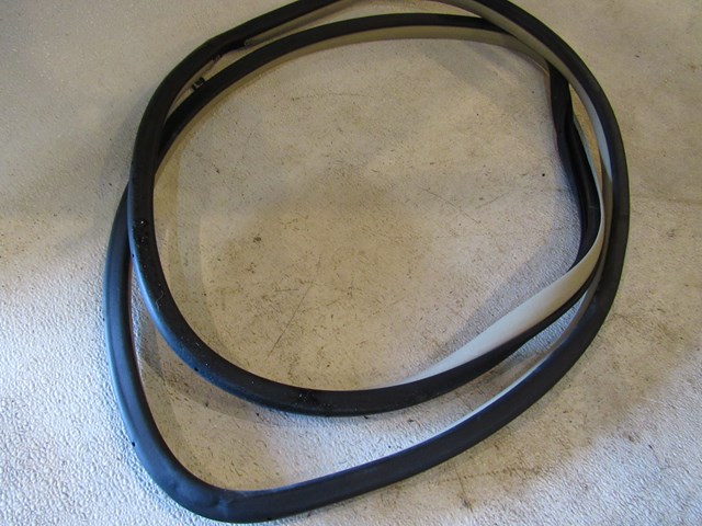 2008 Infiniti G35 Sedan Rear LH Driver Door Seal-Wheat