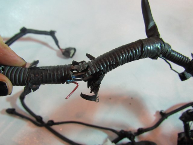 2008 Infiniti G35x Sedan Engine Bay Harness 24012 1NA0E-Needs repair