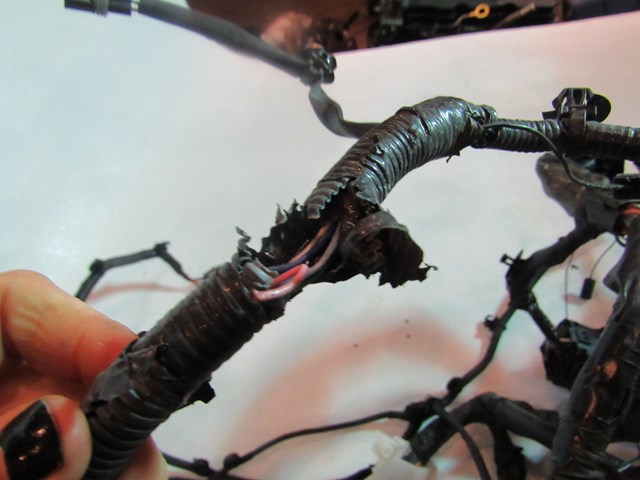 2008 Infiniti G35x Sedan Engine Bay Harness 24012 1NA0E-Needs repair