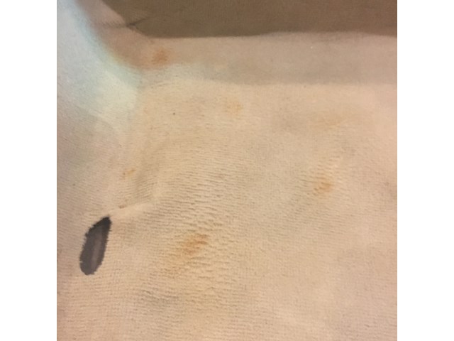 2007 2008 Infiniti G35 G35x Interior Carpet Floor Wheat