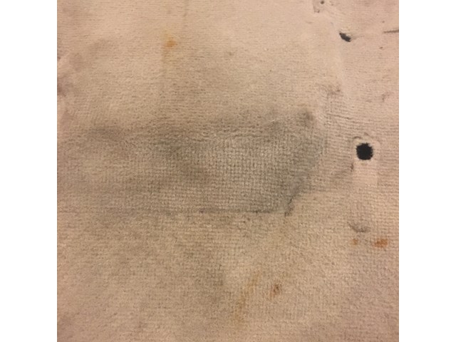 2007 2008 Infiniti G35 G35x Interior Carpet Floor Wheat