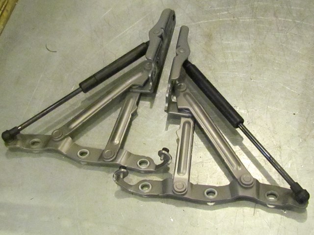 2009 Infiniti G37X Trunk Hinges Pair