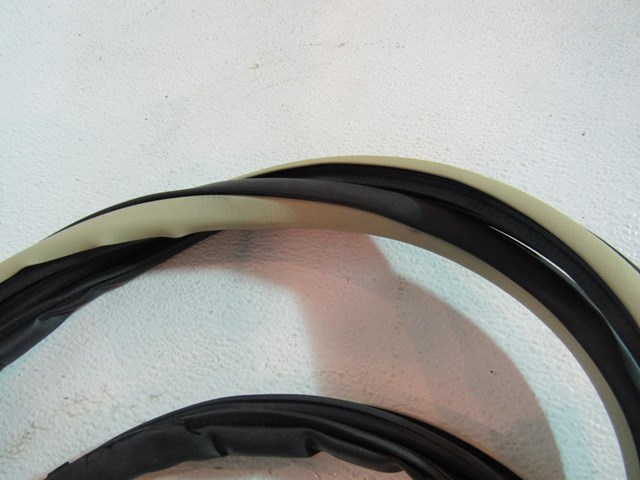 2005 Infiniti G35X Rear RH Passenger Door Seal On Body