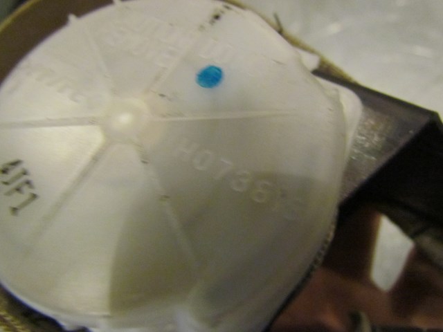 2005 Infiniti G35X Sedan Rear Seat Belt