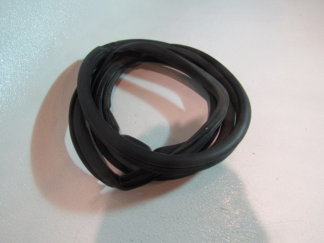 03 04 05 06 07 08 Nissan 350Z Front LH Door Seal On Body