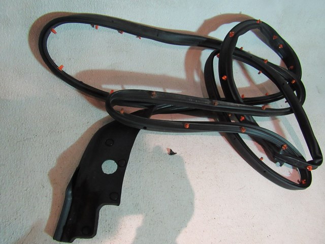 2016 Ford Explorer Front RH Passenger Door Seal on Body