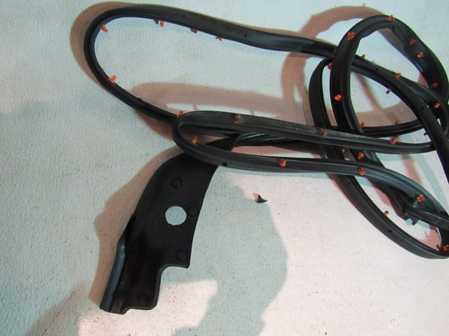 2016 Ford Explorer Front RH Passenger Door Seal on Body