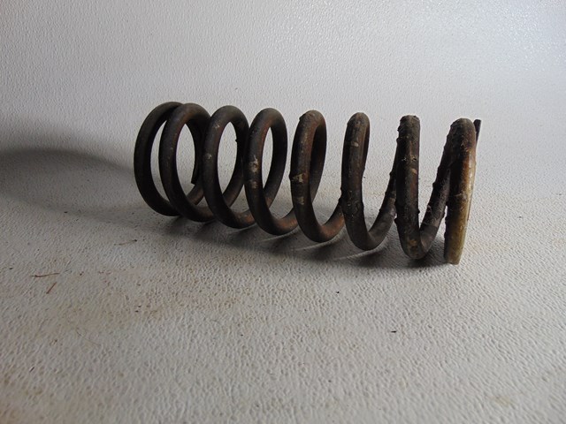 2001 Bentley Arnage Rear RH Passenger Coil Spring