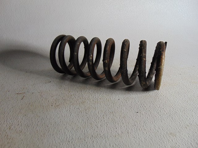 2001 Bentley Arnage Rear RH Passenger Coil Spring