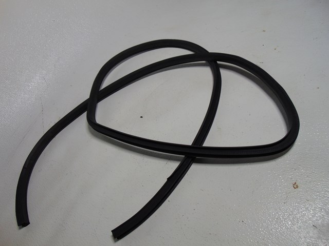 2014 Nissan Juke Rear RH Passenger Door Seal