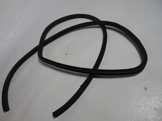 2014 Nissan Juke Rear RH Passenger Door Seal