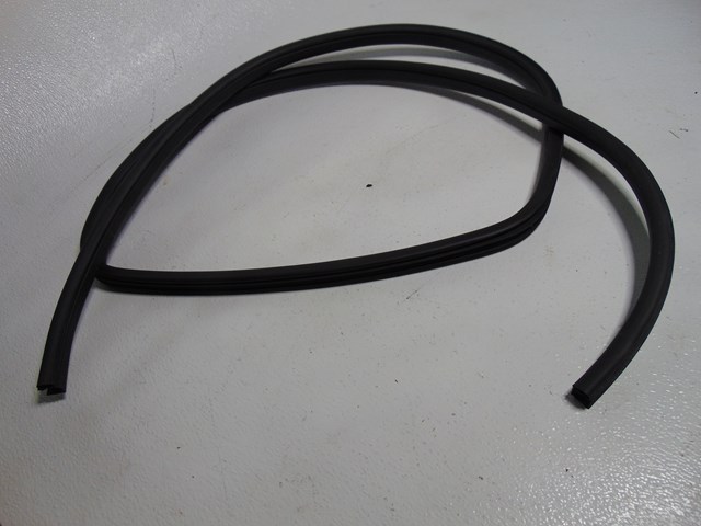 2014 Nissan Juke Rear RH Passenger Door Seal