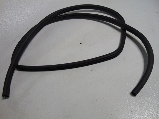 2014 Nissan Juke Rear RH Passenger Door Seal