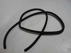 2014 Nissan Juke Rear RH Passenger Door Seal