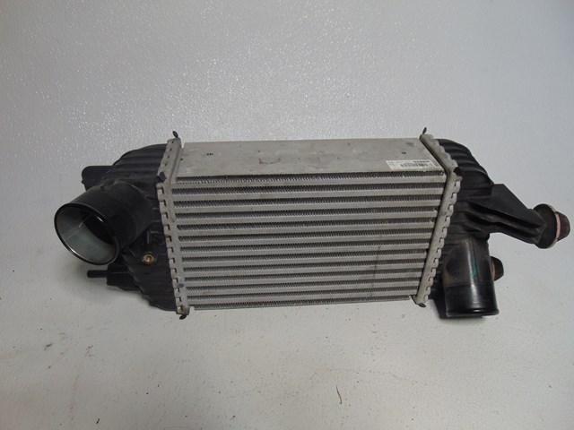 2014 Nissan Juke Intercooler