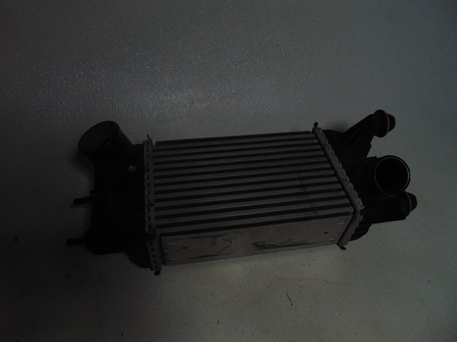 2014 Nissan Juke Intercooler