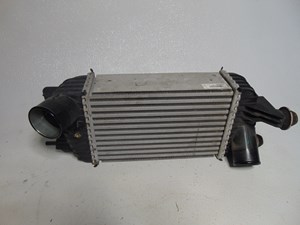 2014 Nissan Juke Intercooler