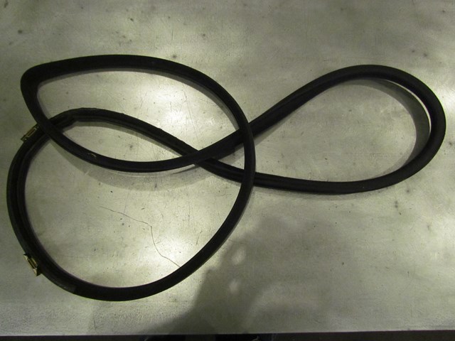 2003 Lexus IS300 Front RH Passenger Door Seal On Body