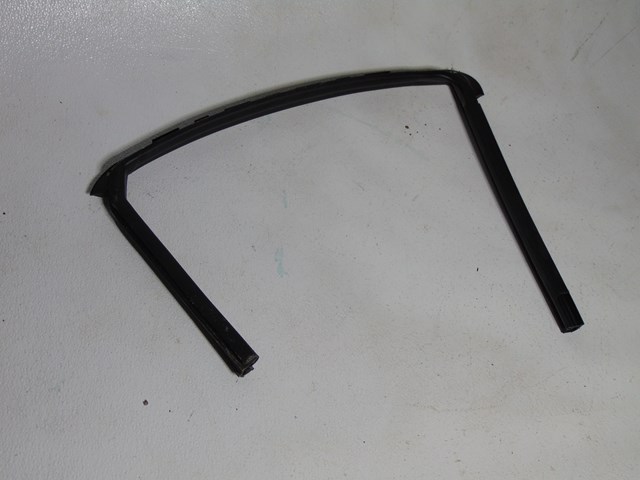 2014 Nissan Juke Rear LH Driver Interior Window Seal