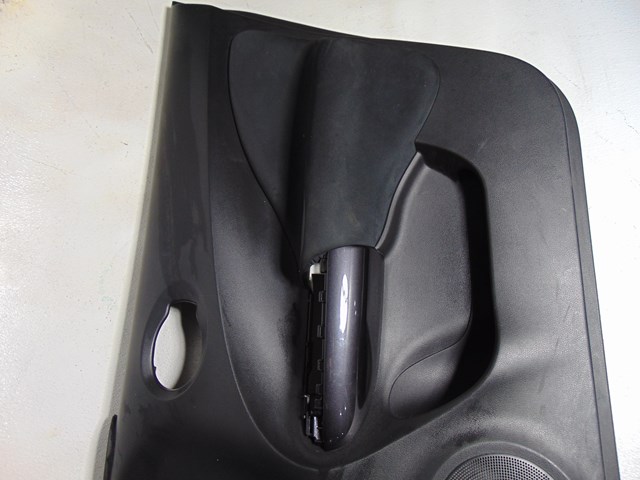 2014 Nissan Juke Front RH Passenger Door Panel 80900 1KA0A