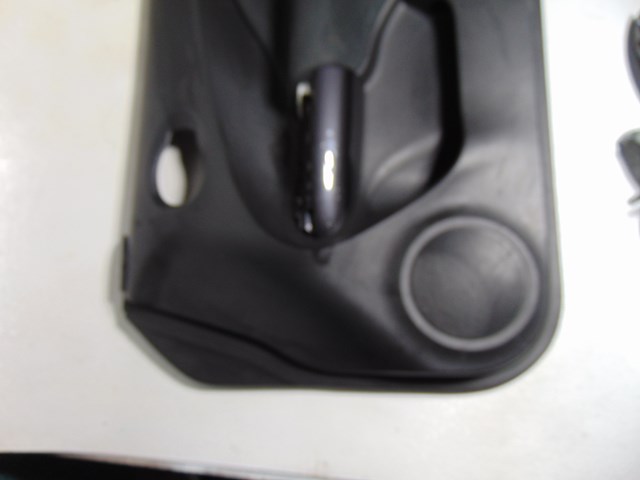 2014 Nissan Juke Front RH Passenger Door Panel 80900 1KA0A