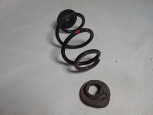 2014 Nissan Juke Nismo RS Rear LH Driver Coil Spring w/Bushing