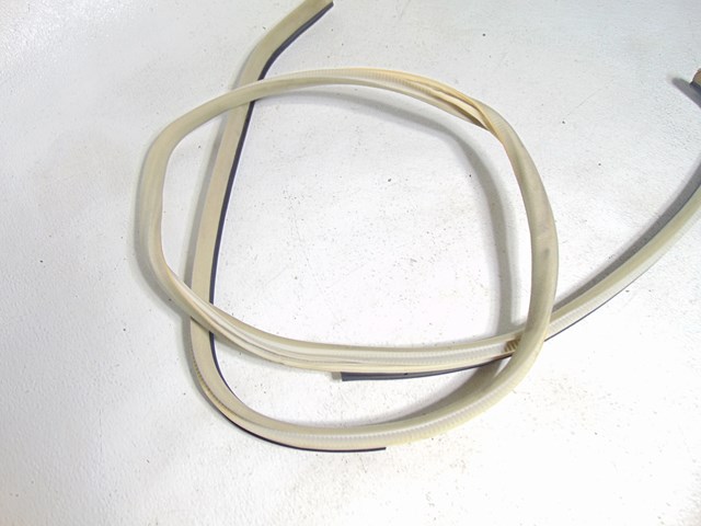 2003 Infiniti M45 Rear RH Passenger Door Seal