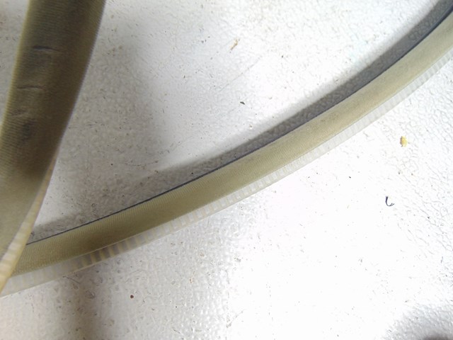 2003 Infiniti M45 Rear RH Passenger Door Seal