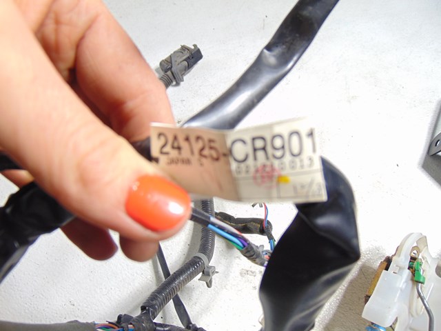 2003 Infiniti M45 Front LH Driver Door Wiring 24125 CR901