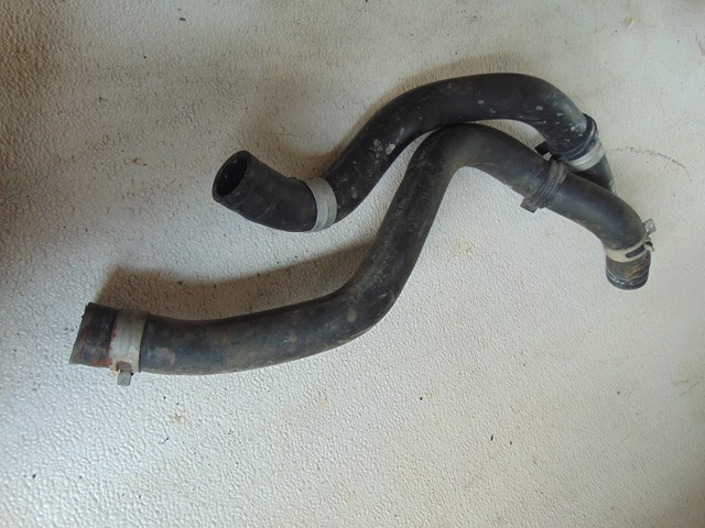 2001 Acura CL Radiator Hoses