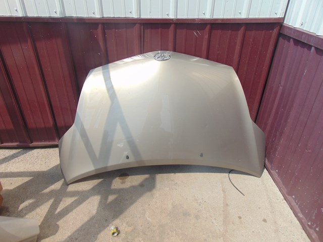 2007 Toyota Prius Hood-Champagne *Read Description for shipping requirements