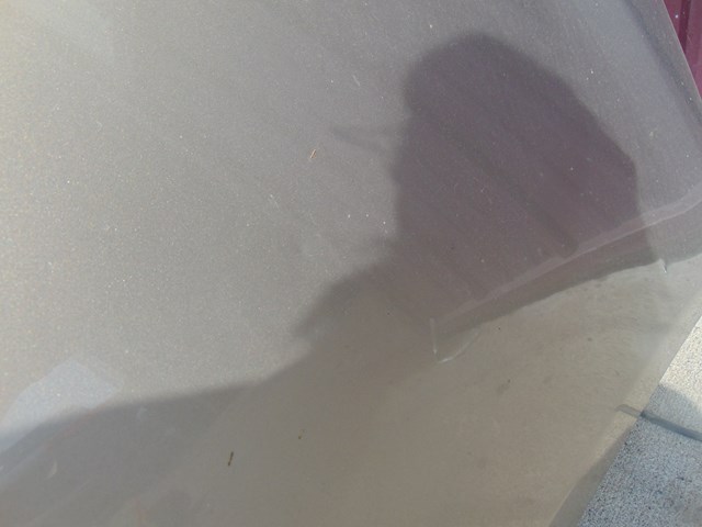 2007 Toyota Prius Hood-Champagne *Read Description for shipping requirements