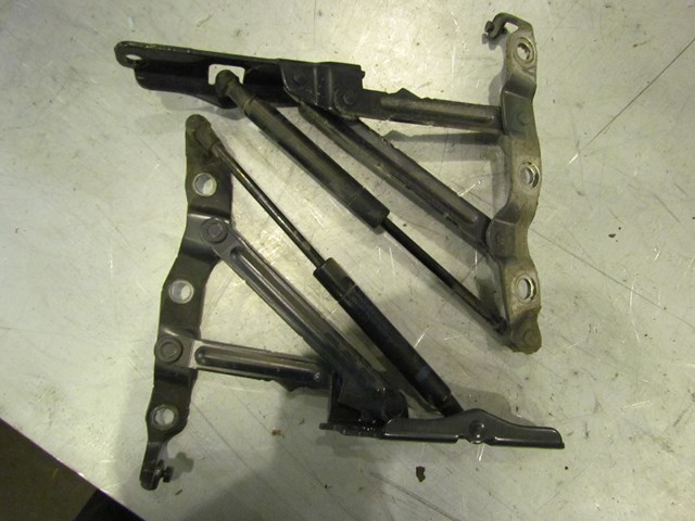 2008 Infiniti G37 Coupe Trunk Hinge Set