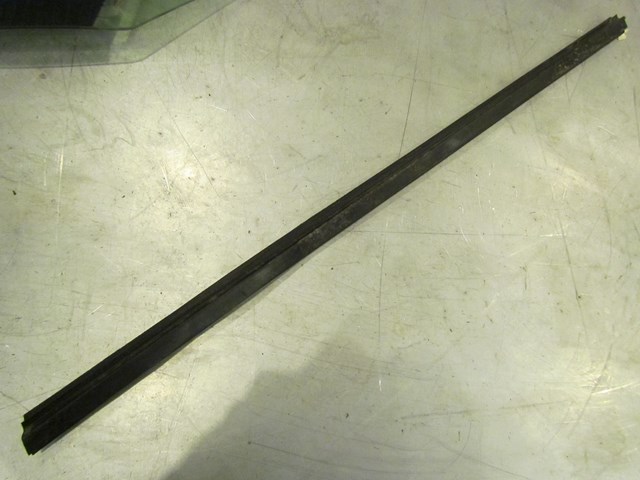 2008 Infiniti G37 RH Passenger Door Glass Seal