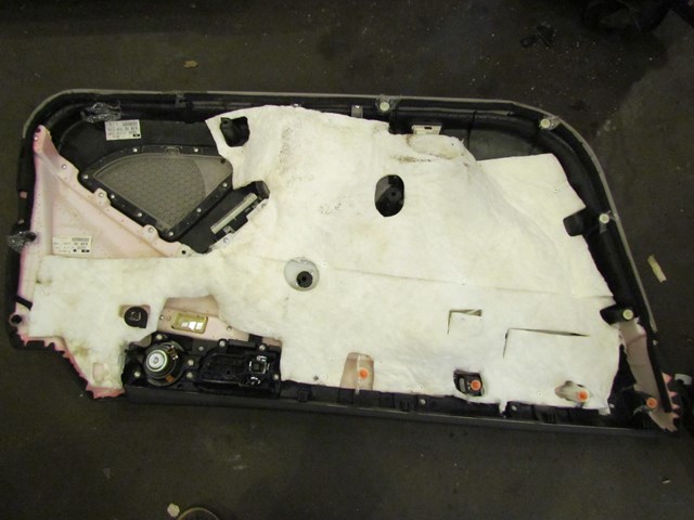 2008 Infiniti G37 RH Passenger Door Panel Assy