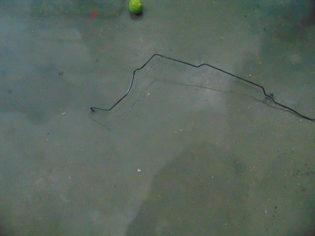 2010 Audi S4 Front RH Passenger Brake Line