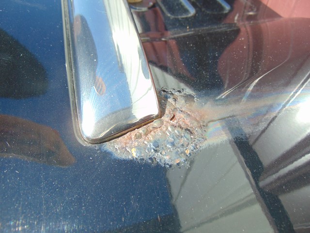 2003 Infiniti M45 Trunk Lid (See details)