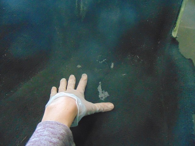 2010 Audi S4 Interior Carpet Bleimish/missing fibers- see photos