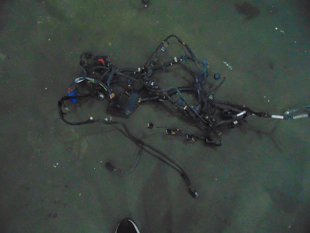 2005 Land Rover LR3 V8 4.4L Main Engine Wire Harness