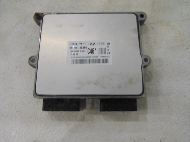 2007 Hyundai Entourage ECU 39110 3C460