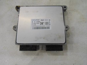 2007 Hyundai Entourage ECU 39110 3C460