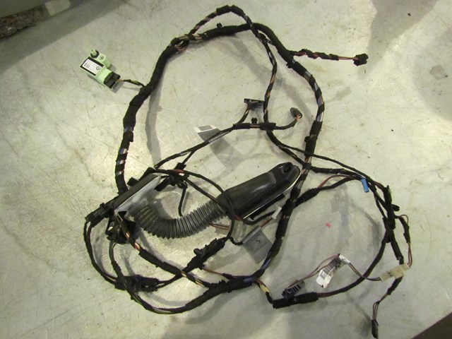 2007 BMW 335i RH Passenger Door Wiring