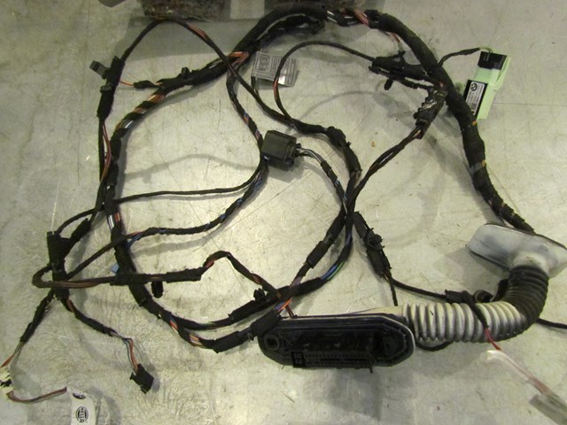 2007 BMW 335i RH Passenger Door Wiring