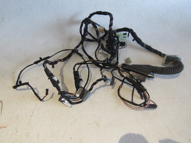 2007 BMW 335i LH Drivers Door Wiring Assy 6 957 106