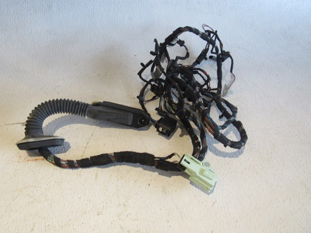 2007 BMW 335i LH Drivers Door Wiring Assy 6 957 106