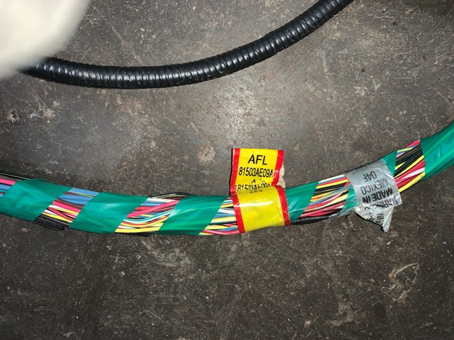 2005 Subaru Legacy Rear Wiring Harness 81503AE09A