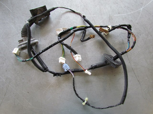 2003 Infiniti G35 Sedan Front RH Passenger Door Wiring 24124 AM602