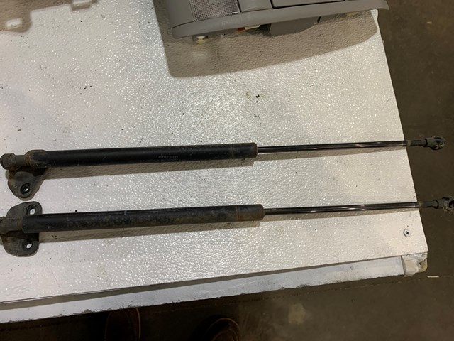 2004-2009 Toyota Prius Rear Hatch Struts OEM (PAIR)