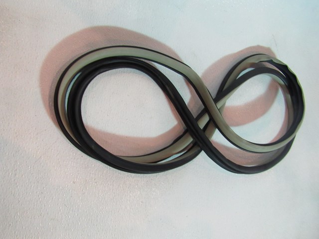 2004 Infiniti G35 Sedan Front RH Passenger Door Seal On Body Tan